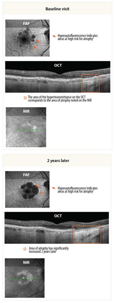 mulitmodal imaging example labelled