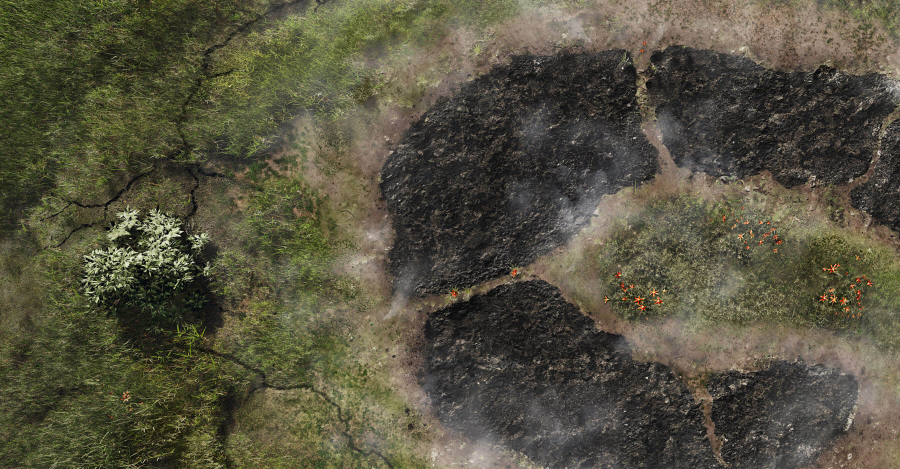 image of scorched ground